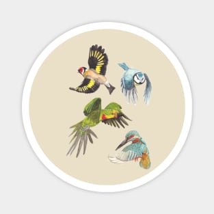 Flying birds Magnet